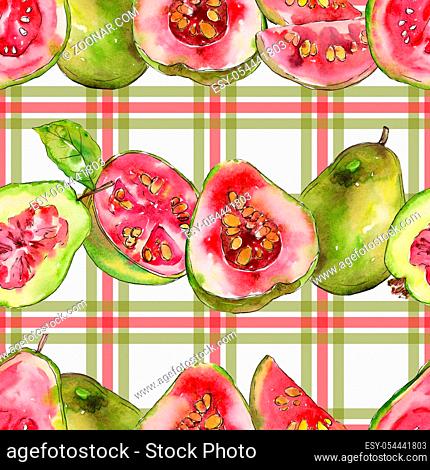 Exotic guava healthy food in a watercolor style pattern. Full name of the fruit: guava . Aquarelle wild fruit for background, texture, wrapper pattern or menu