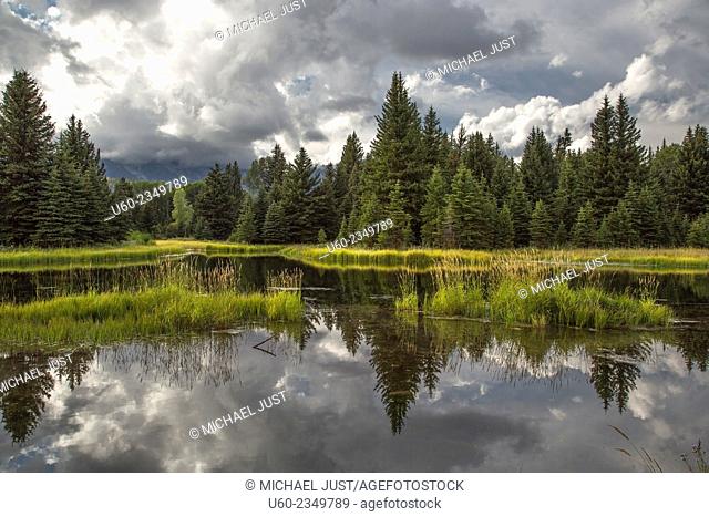 A pond reflects the landscape near Grand Teton National Park, Wyoming