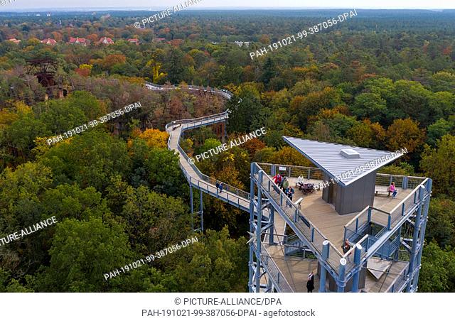 21 October 2019, Brandenburg, Beelitz-Heilstätten: Tourists enjoy the view from the observation tower onto the treetop path and the autumnally coloured mixed...