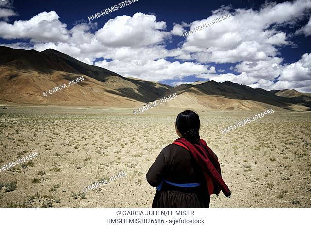 India, Jammu and Kashmir State, Himalaya, Ladakh, high-altitude plateau of Changthang (Changtang), Rupshu valley, Rumtse to Tso Moriri trek