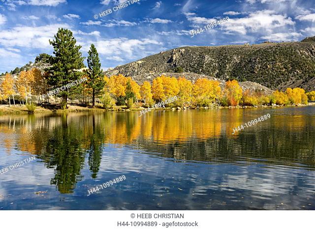 USA, California, Eastern Sierra, Bishop, Bishop creek, foliage, fall, autumn, mountains