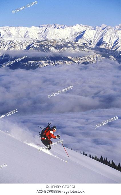 Skier skiing fresh powder in 'Bowl Over' at Kicking Horse Resort, Golden, British Columbia, Canada