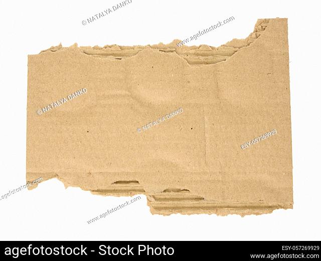 torn piece of corrugated cardboard isolated on white background, close up