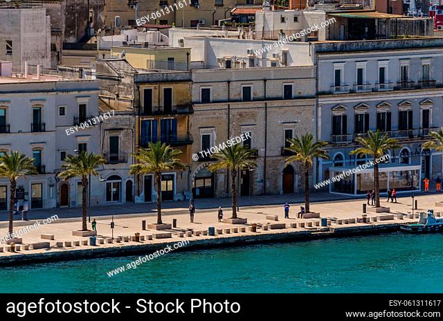 palm trees at the harbor in Brindisi Italy