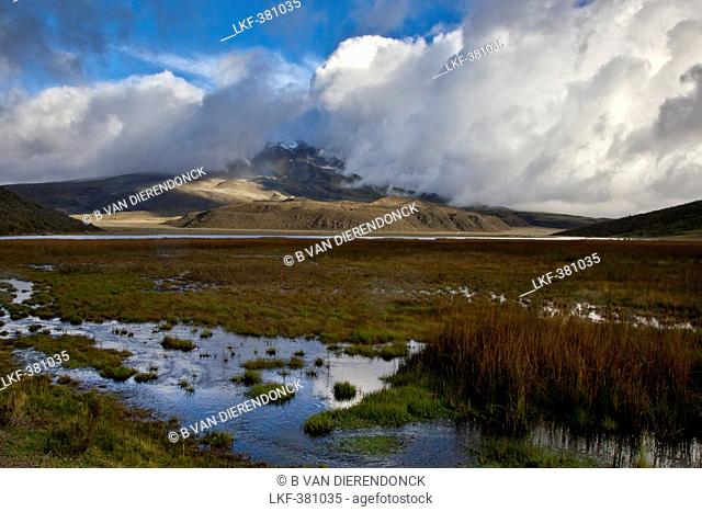 Mist and clouds on Cotopaxi 5897m, in the foreground: Limpiopungo Lagoon, Andes, Ecuador, South America
