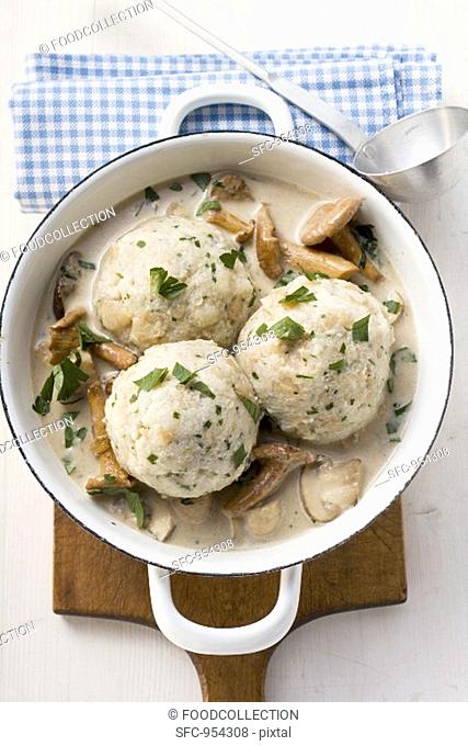 Bread dumplings with mushroom ragout in pot