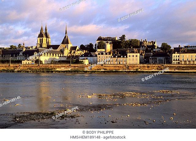 France, Loir et Cher, Loire Valley listed as World Heritage by UNESCO, Blois, quays and Saint Louis Cathedral in the background