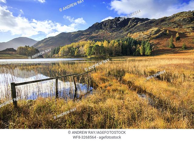 Blea Tarn near the top of the Langdale Pass in the Lake District National Park, captured on a morning in early November with Blake Rigg and the Coniston Fells...