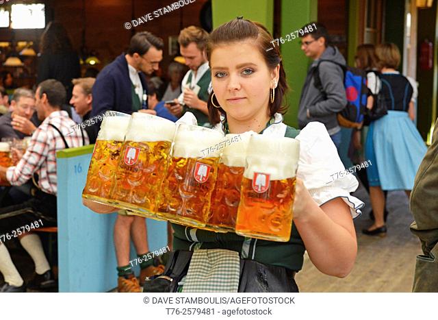 Waitress carrying masses of beer at Oktoberfest in Munich, Germany