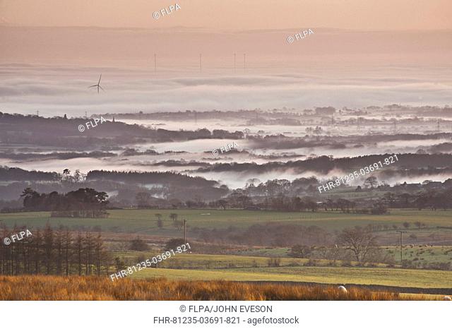 View of farmland in mist at sunset, Fylde, Lancashire, England, february
