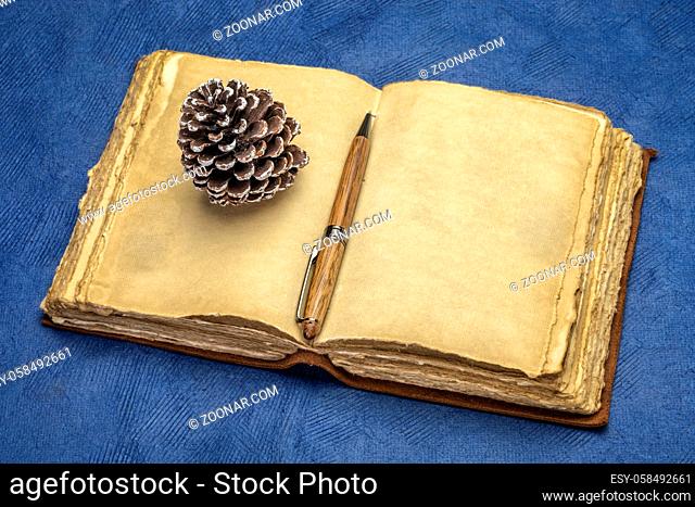 blank antique leather-bound journal with decked edge handmade paper pages with a stylish pen and a deocrative pine cone against blue handmade paper