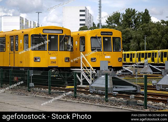 30 August 2023, Berlin: 2 old subway trains are standing on the grounds of the Friedrichsfelde depot of the Berliner Verkehrsbetriebe (BVG)