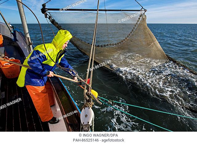 Fisherman Kevin Voss brings in one of the two dragnets, aboard the shrimp boat Nixe II in the North Sea off Dorum-Neufeld, Germany, 24 November 2016