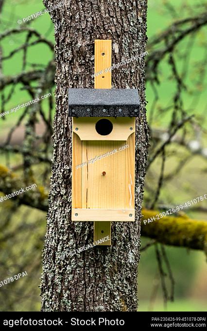 25 April 2023, Baden-Württemberg, Rottweil: A birdhouse hangs on a tree. Photo: Silas Stein/dpa. - Rottweil/Baden-Württemberg/Germany