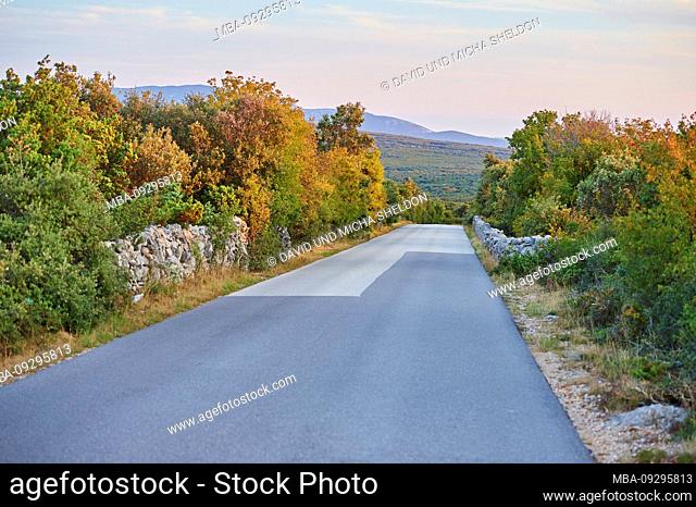 Landscape, road, vegetation, natural stone wall, Cres, Croatia, Europe