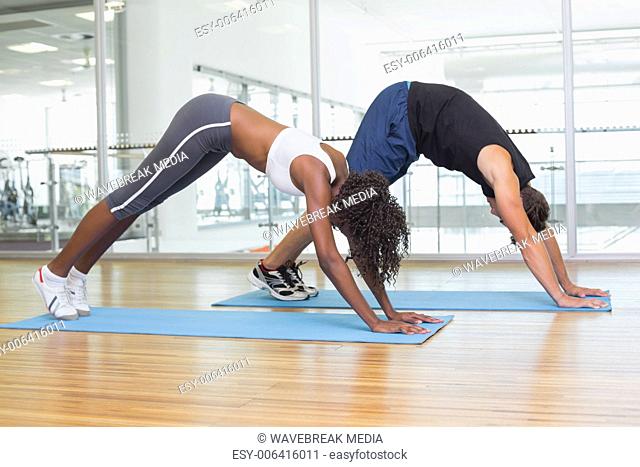 Fit couple in dolphins pose on exercise mats