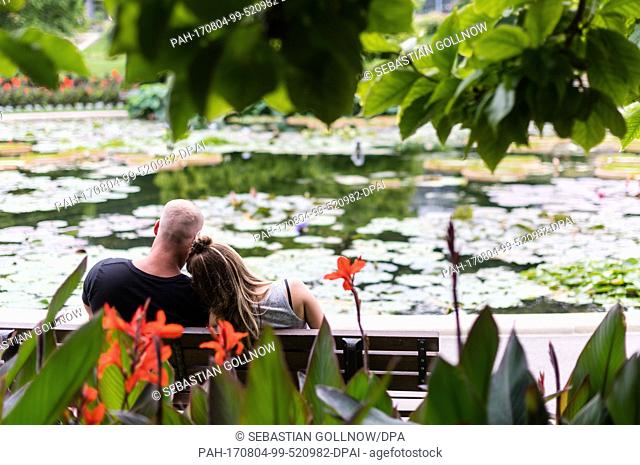 A couple sits in front of the ..water lilly pond of the zoological and botanical garden of the Wilhelma in Stuttgart, Germany, 04 August 2017