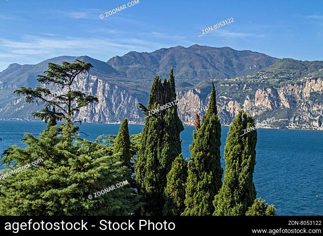 Mediterane Vegetation am Gardasee
