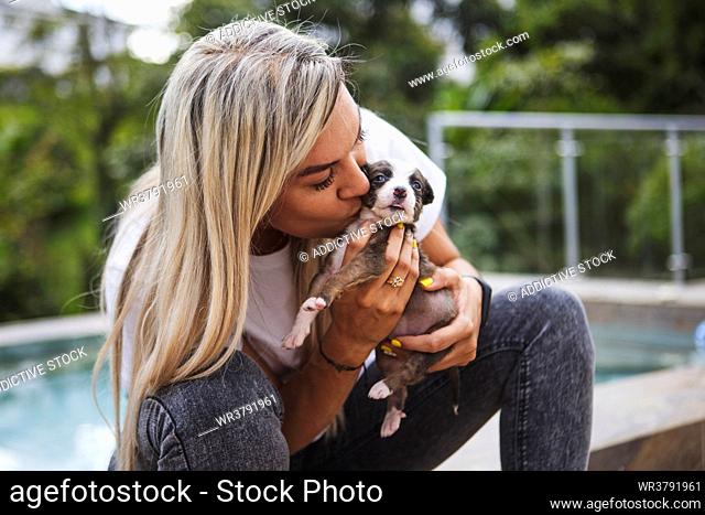 puppy dogs, kissing, border collie, dog owner