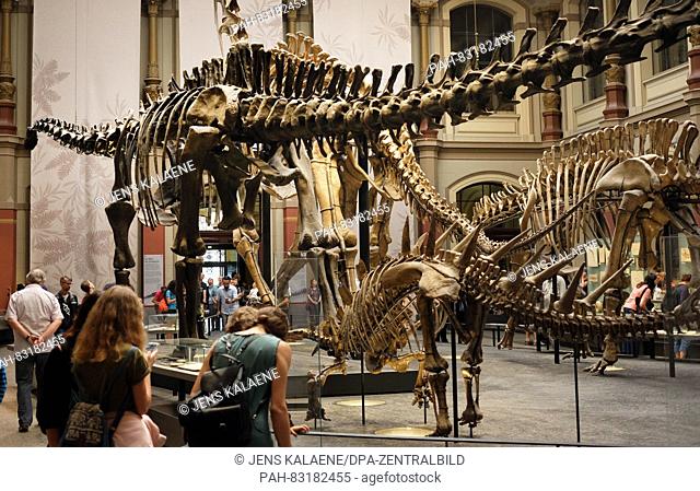 Visitors look at the skeletons of different dinosaurs at the Naturkundemuseum in Berlin, 21 August 2016. Photo: Jens Kalaene/dpa - NO WIRE SERVICE - | usage...