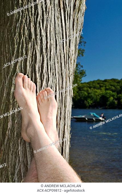 Feet resting on trunk of cedar tree in cottage country at Horseshoe Lake in Rainbow Country near Parry Sound, Ontario, Canada