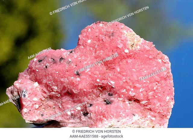 Pink Rhodochrosite from N'chwaning Mine, Kalahari Manganese Field, South Africa
