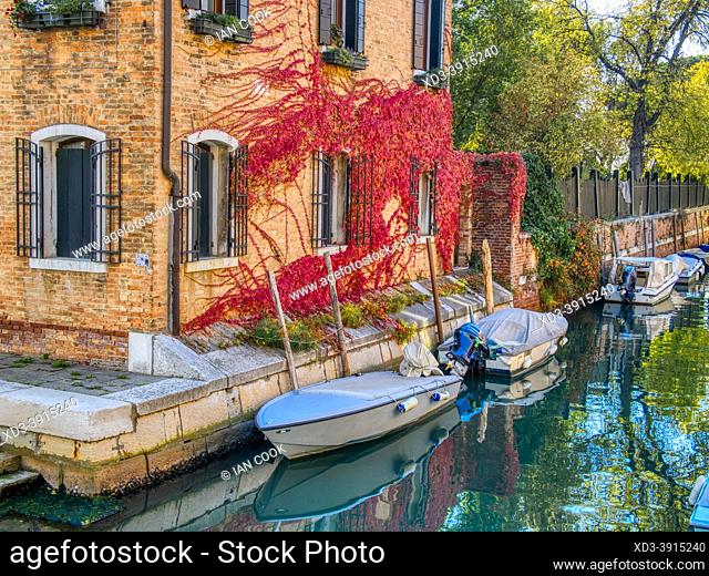 two boats moored under a wall with red Boston Ivy, Parthenocissus tricuspidata, Biennale Neighbourhood, Venice, Italy