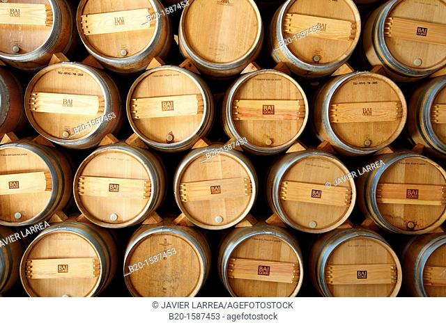 Wine barrel cellar, Winery Building Architect Iñaki Aspiazu, Bodegas Baigorri, Samaniego, Araba, Rioja Alavesa, Basque Country, Spain