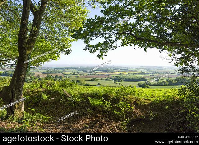 The Coleridge Way west of Nether Stowey aty Walfords Gibbet in the Quantock Hills Area of Outstanding Natural Beauty, Somerset, England