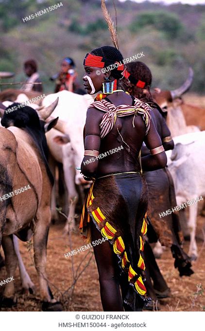 Ethiopia, Omo valley, the bull jumping ceremony of the hamer tribe