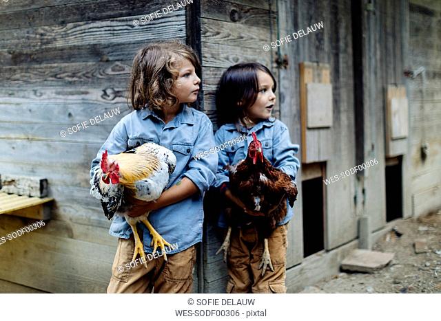 Two kids holding chickens on an organic farm