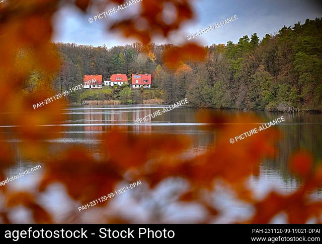 19 November 2023, Brandenburg, Siehdichum: Spätherst on the Hammersee lake in the Schlaubetal Nature Park. Founded at the end of 1995