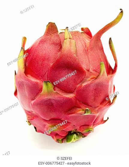 The Dragon Fruit is also known as pitaya, pitahaya, huo long guo, strawberry pear, nanettikafruit or Thanh Long