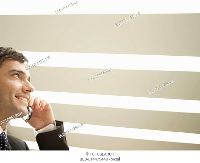 Businessman talking on phone low angle view