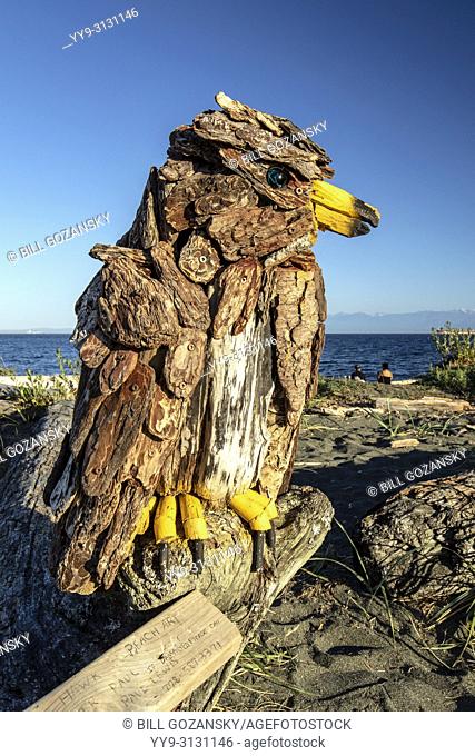 Red-tailed Hawk - Driftwood Art by Paul Lewis - Esquimalt Lagoon, Victoria, Vancouver Island, British Columbia, Canada