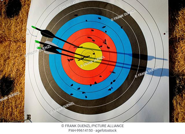 Arrows almost hit bullseye on a target at Morley Field Archery Range at Balboa Park, in December 2017. | usage worldwide
