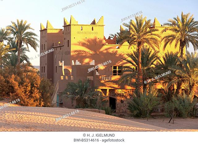 desert hotel in Mhamid oasis in morning light, Morocco, Suedmarokko, Wueste, Mhamid-el-Ghizlane