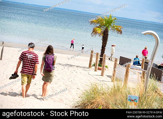 PRODUCTION - 03 July 2023, Schleswig-Holstein, Haffkrug: Walkers walking next to a palm tree on the Baltic Sea beach. Vacation under palm trees or in a beach...
