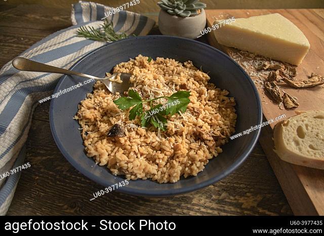 Bowl of Risotto with Cheese, Dried Porcini Mushrooms and Fresh Bread on a natural wood table