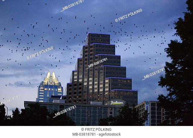 USA, Texas, Austin, view at the city, Bats, swarm, fly out, Twilight, City, skyscrapers, animals, Fledertiere, Brazilian Bulldoggfledermaus