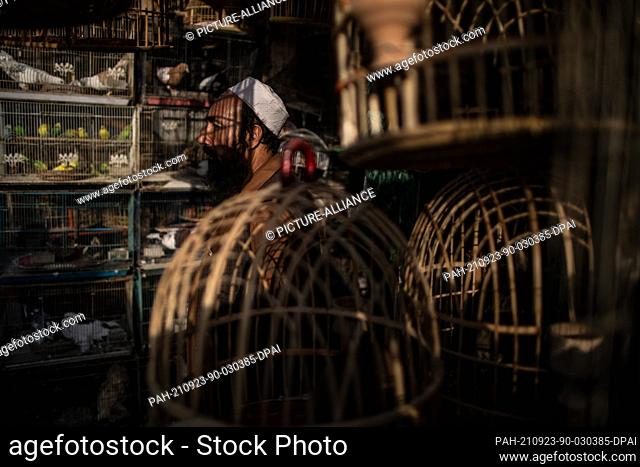 23 September 2021, Afghanistan, Kabul: An Afghan bird vendor stands in his shop amongst bird cages at a market in Kabul. Photo: Oliver Weiken/dpa