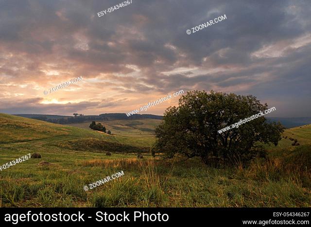 Summer landscape of the oblique fields of the Caucasus with cylindrical bales of hay at sunset and green beautiful trees