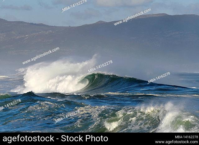 wave action at sandown bay, western cape, south africa
