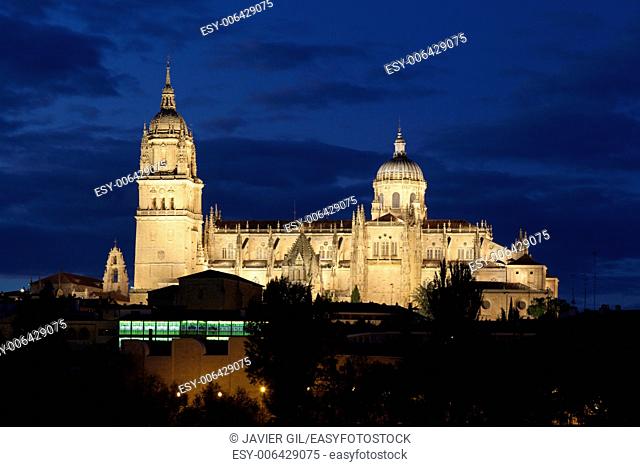 Cathedral of Salamanca, Castilla y Leon, Spain