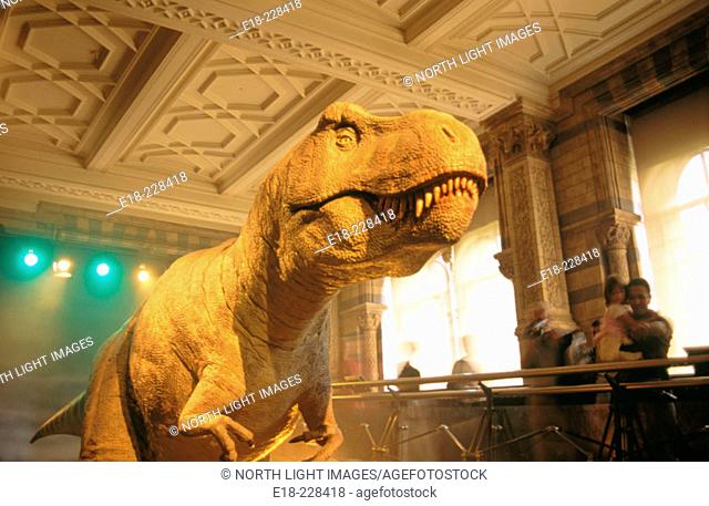 Tyrannosaurus Rex  in the Natural History Museum. London. UK