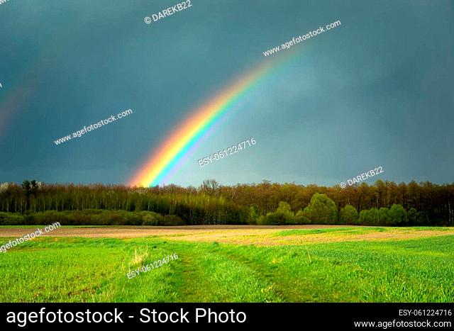 Rainbow over the forest and green meadow, Czulczyce, Lubelskie, Poland