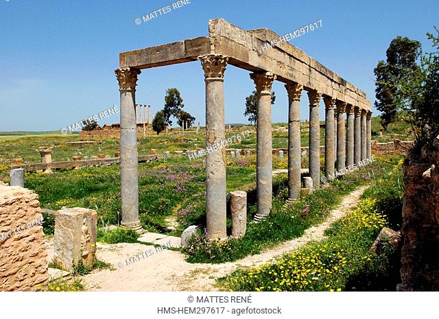Tunisia, Tunis Region, archeological site of Thurburbo Majus, Palestre des Petroni