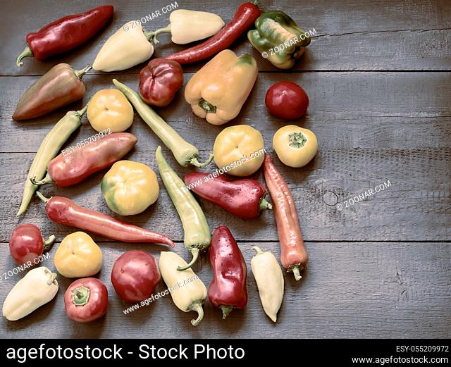 On the painted wooden background of a variety of color and shape of the fruits of bell peppers of different varieties. Top view, negative space