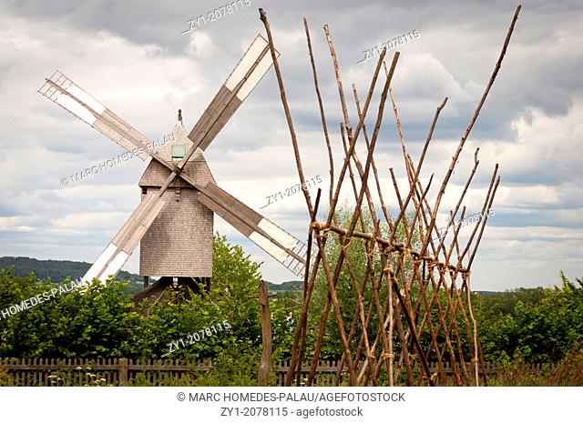 Field scene with windmill Detmold, Germany