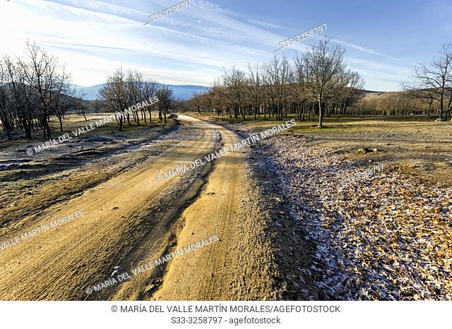 The Zorreras path and Sierra de Gredos on the background early in a winter morning. Avila. Spain. Europe